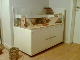 Bild142.jpg